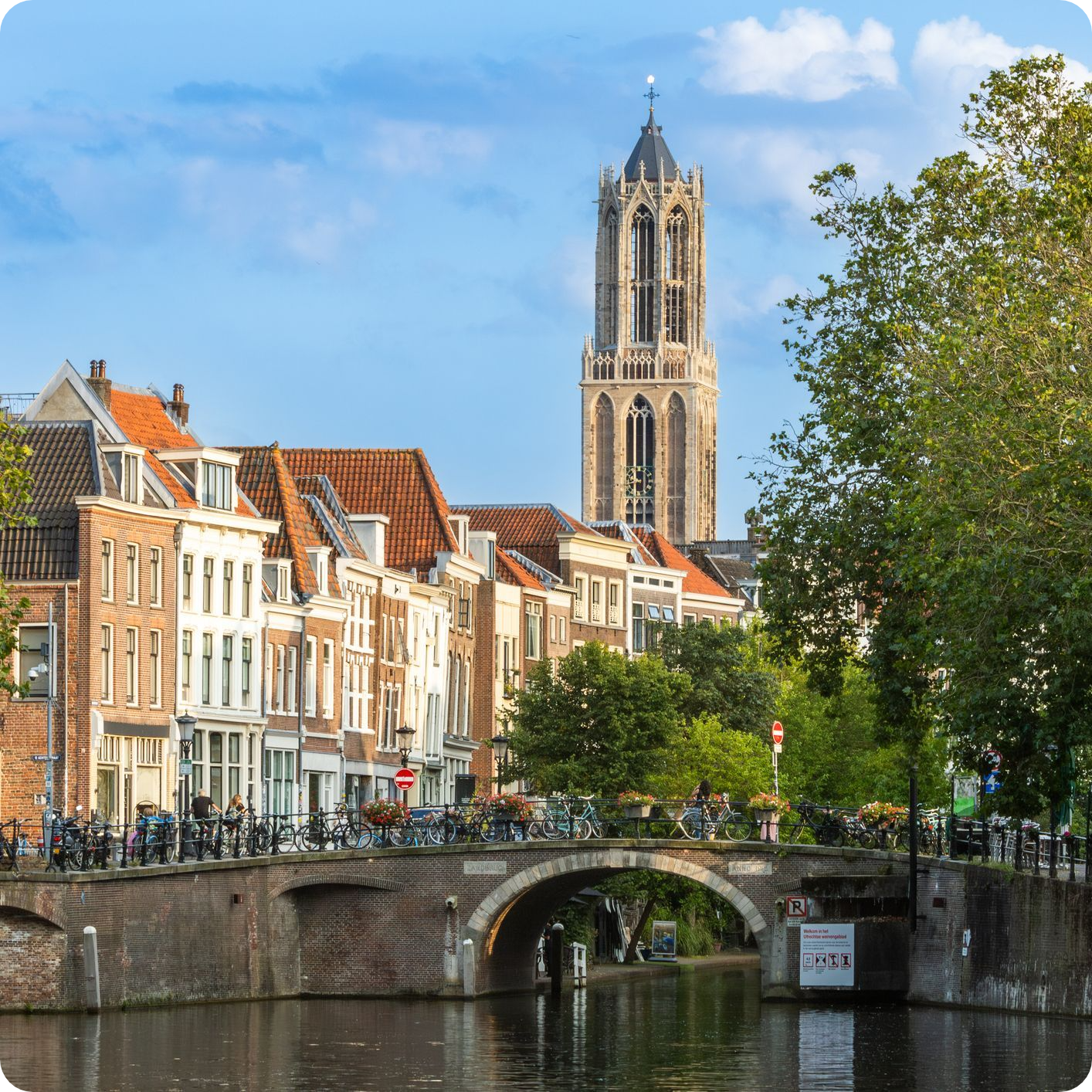 iStock-2175720313-modified-a28a42cf-d789-4864-85be-8abf957d20a8-modified